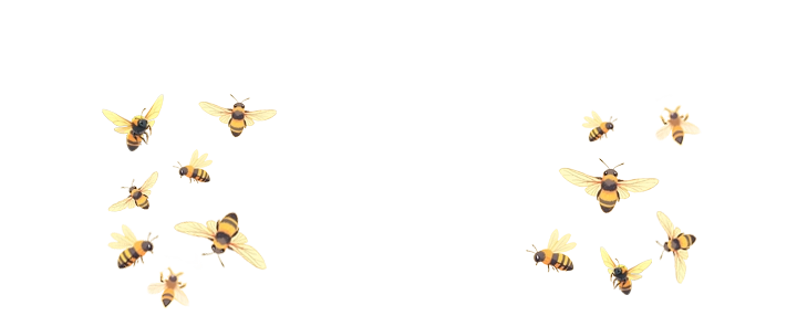 Ein Schwarm von Bienen